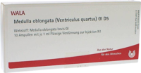 MEDULLA OBLONGATA Ventriculus quartus GL D 5 Amp.